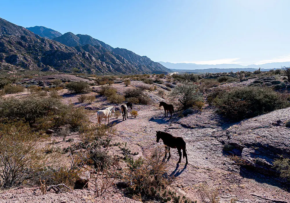 Vista hacia el valle de Villa Sanagasta